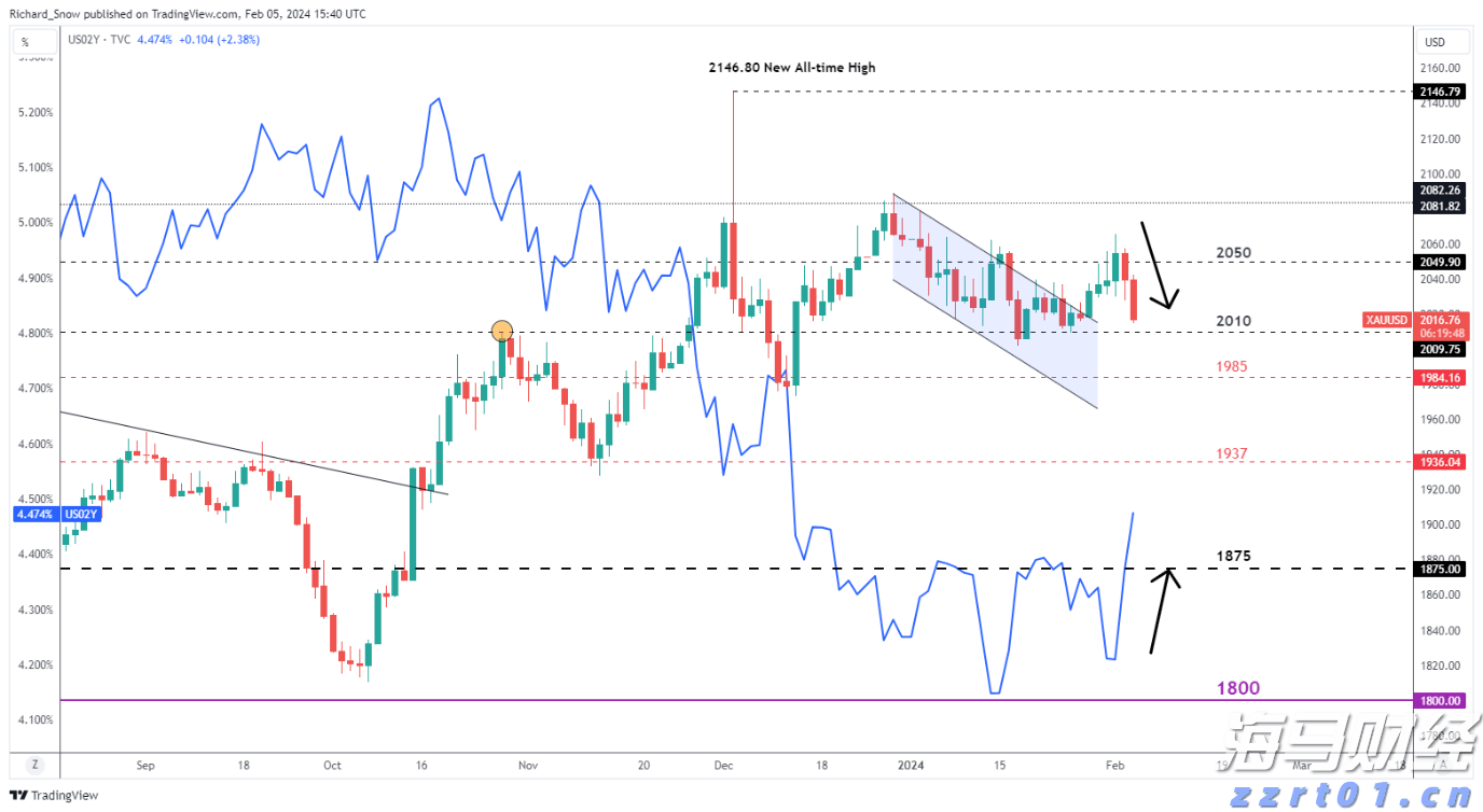 关税休战与盈利前景提升，印度散户创纪录490亿卢比支撑市场