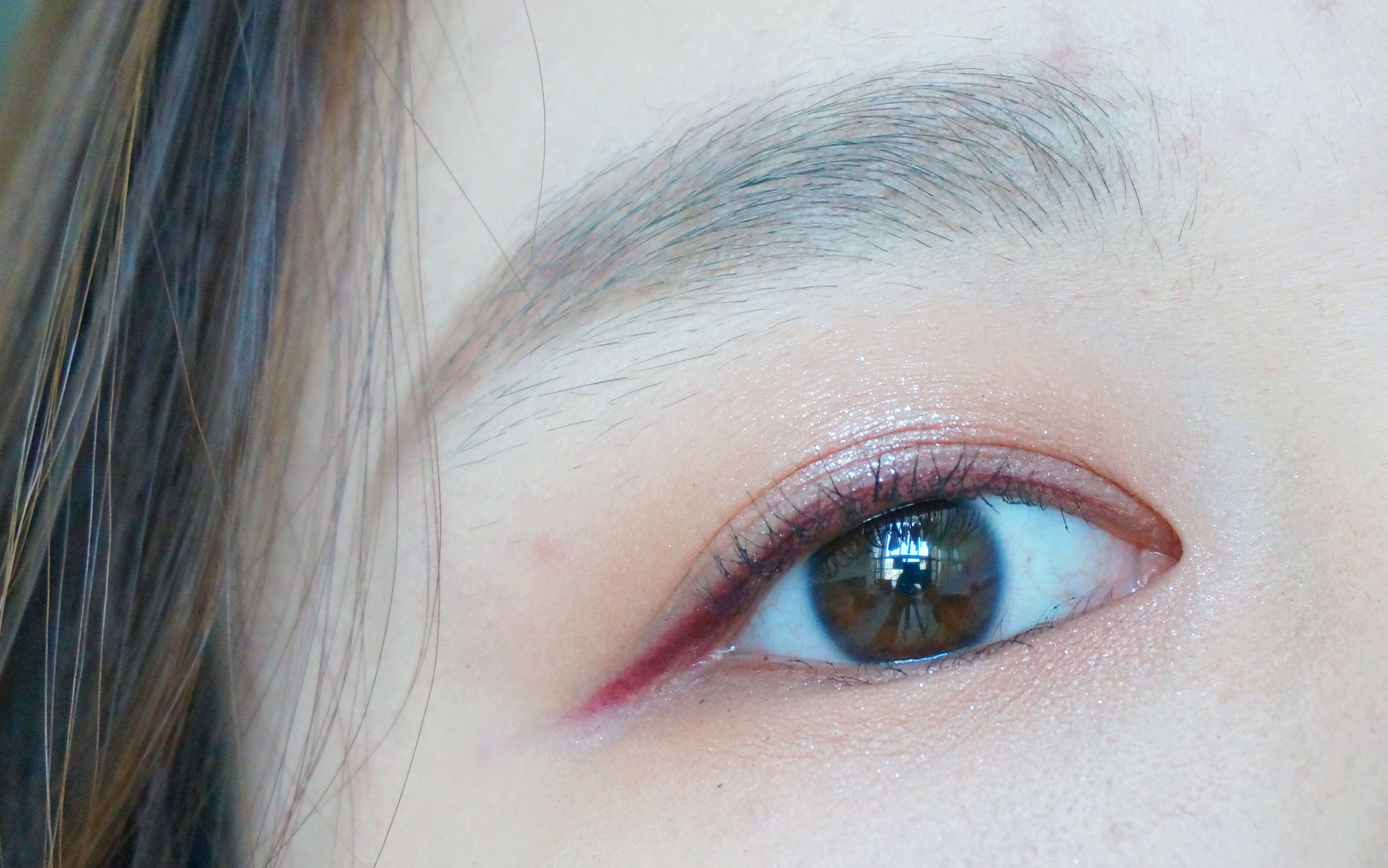 亮点大揭秘！第五届粤港澳大湾区文化艺术节预告片首发