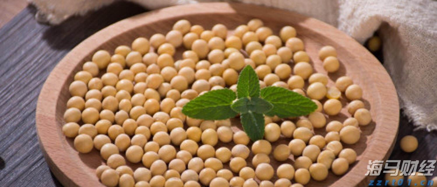 人社部释放养老金改革两大信号：年金长周期考核+个养默认投资机制 公募有待扛大旗