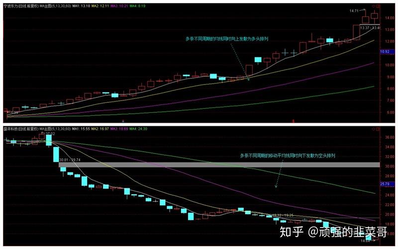 盛大开幕！2025骆岗公园新春灯会今晚点亮！