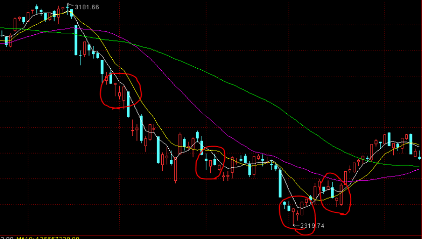 美股异动 | 特斯拉(TSLA.US)涨3% 马斯克解散Dojo超算团队 将集中精力开发AI5、AI6及后续芯片
